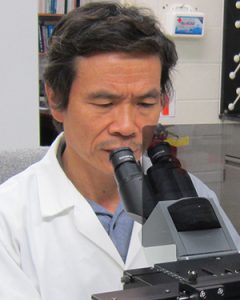 De-Hai Xu, Ph.D.