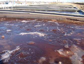 tank surfaces