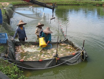 Pesquerías
