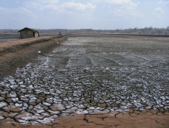 materia orgánica