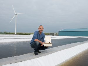 Dutch shellfish farmers bringing the sea onto land