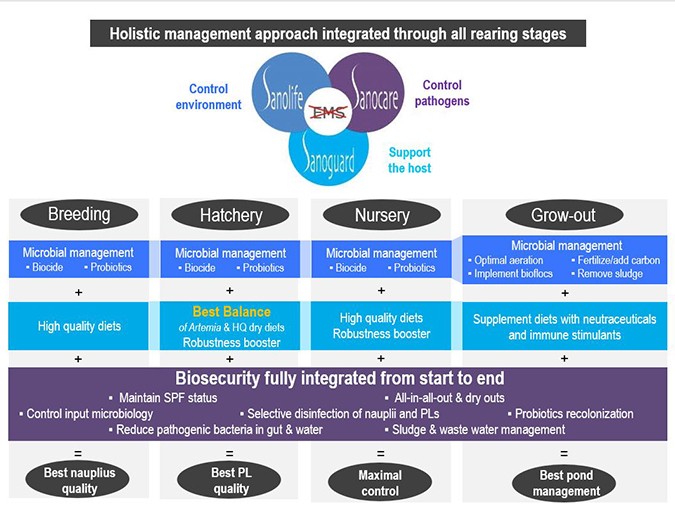 Holistic