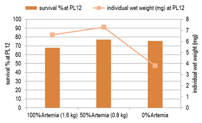 Fig 2. The best balance between artificial diets and Artemia.