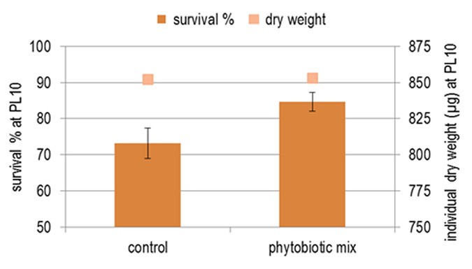 Fig 4. Enhanced shrimp survival during the hatchery cycle by applying various plant extracts.