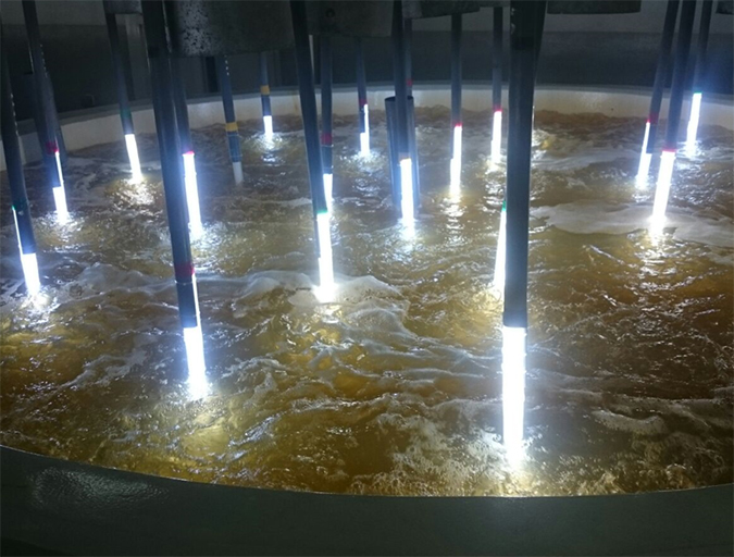 Article image for Novel light bank reactor aids in microalgae culture