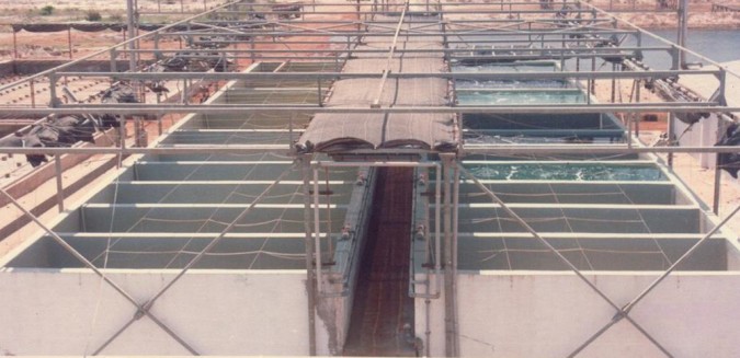 A typical shaded outdoor tank reactor phycosphere, always susceptible to eolian dust. Photo by Dr. M.R. Kitto.