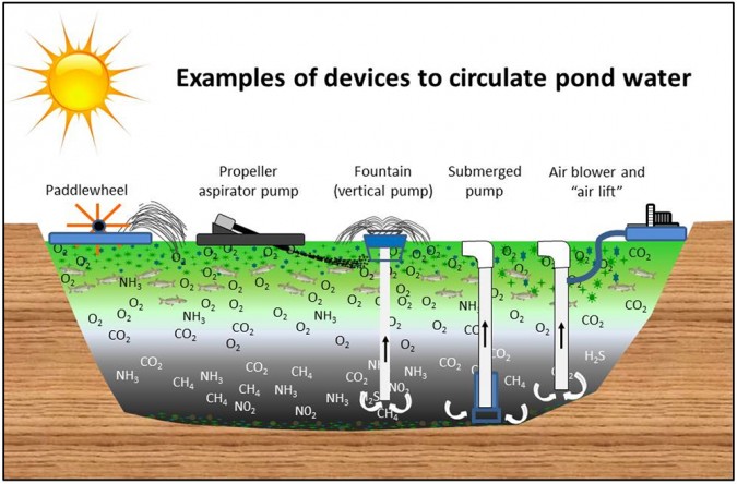 Fig. 5: Representación esquemática de algunos de los dispositivos utilizados para promover la circulación del agua en los estanques. Algunos empujarán el agua superficial hacia abajo (aireadores de paleta y aspiradores de hélice), mientras que otros traerán el agua de abajo hacia arriba (bombas verticales aireadoras o "fuentes" equipadas con tubos de 150-200 mm, bombas sumergidas y dispositivos de elevadores de aire). Imagen de Fernando Kubitza.