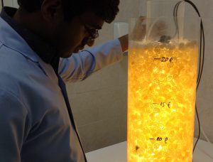 Novel reactor developed for indoor, high-density production of diatoms