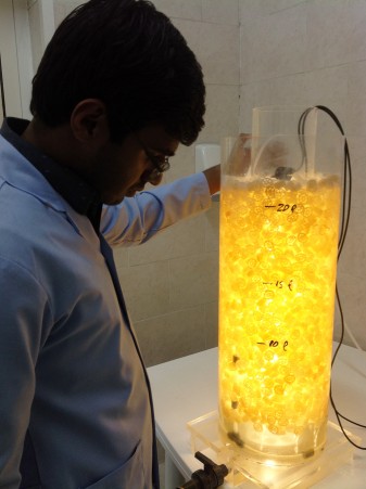 The intra-luminic, photosynthetic, cylindrical reactor. 