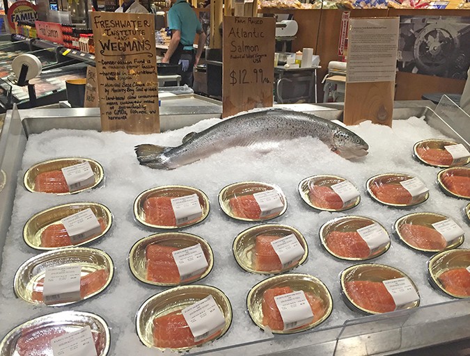 Salmon from the Freshwater Institute on display at a Wegman’s seafood counter.