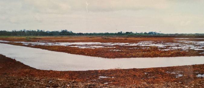 Ponds built on acid-sulfate soils are very difficult and costly to manage. Photo by Darryl Jory.