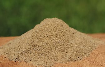 insect meal