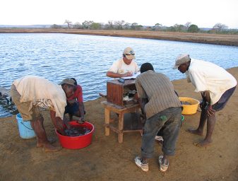 A trained team using appropriate equipment will collect more accurate data during periodic population samplings.