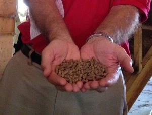 F3 blows past funding goals as fishmeal alternatives proliferate