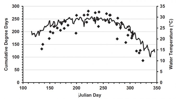 Fig. 1: Mean water temperature (___) and cumulative degree days () for tilapia fry production trials ending on the indicated Julian day. In each of 26 trials/species, Nile tilapia (Oreochromis niloticus) or blue tilapia (O. aureus) broodfish were stocked into 0.01-ha earthen ponds and all broodfish and fry were harvested by draining the pond after 13–20 days.
