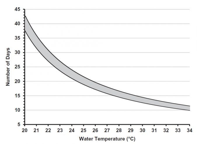 Fig. 3: Range in number of days until reproduction pond harvest in relation to mean weekly pond water column temperature for optimal production of Nile tilapia and blue tilapia fry (7–13 mm total length) suitable for hormonal sex inversion. Optimal production in the subtropics occurs between 190 degree days (lower curve) and 215 degree days (upper curve).
