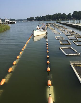 Ailing waterways