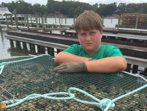 Ailing waterways hail the oyster’s return
