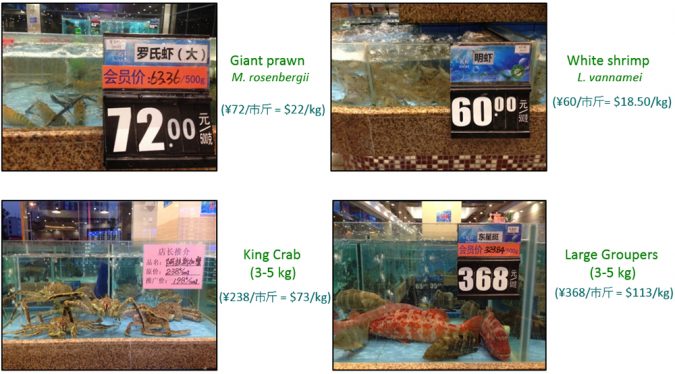 Fig. 2. Recent (2016) retail prices for seafood at a mid-range seafood restaurant in Zhongshan, China. Prices range from $19-23/kg. for giant freshwater prawns and Pacific white shrimp, to upwards of $73/kg. for Alaska king crab and $113/kg. for various groupers. Chinese consumers purchase the entire animal, so a single dish of grouper can cost up to $565, as one of eight dishes traditionally served at dinner. More expensive species are also common. Photos by Anthony Ostrowski.