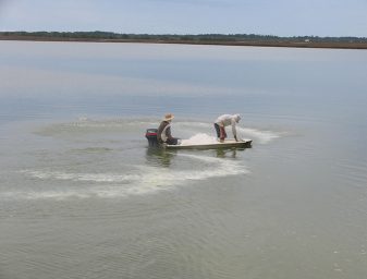 Liming aquaculture production ponds during pond preparation between cycles and during production is an important management too in acidic ponds.
