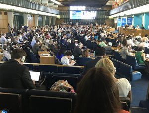 COFI 32 presents an opportunity to promote seafood