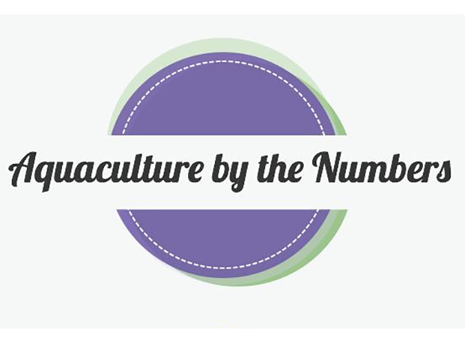 Article image for FAO: ‘Vigorous’ growth in aquaculture increases global seafood consumption