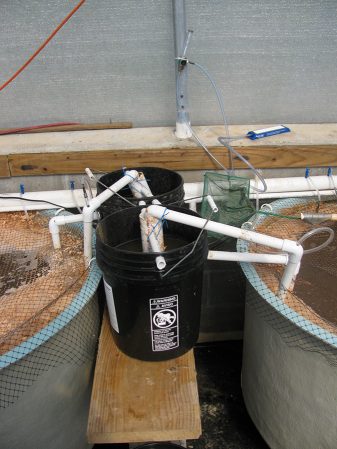 sedimentación