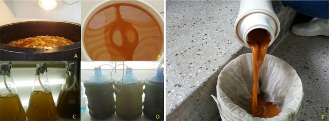 Biofloc consumption
