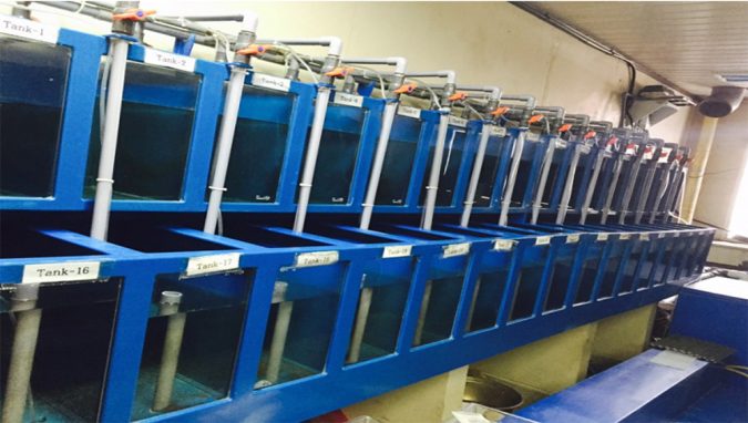 semi-recirculation system