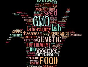 On GM foods, part 1: Let’s move this unproductive conversation forward