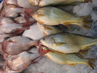 图片1:调查结果显示食品质量与安全信息在消费者做选购决定时非常重要。照片来源 Darryl Jory