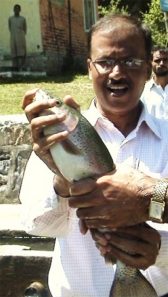 trout farming