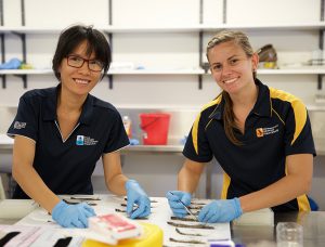 Unleashing the genetic potential of black tiger shrimp