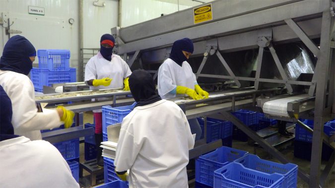 Inspection on lateral packing belts.