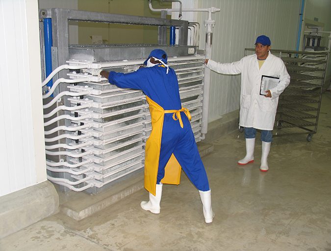 freezer