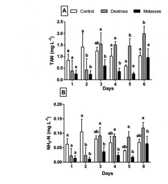 Fig. 1: Daily mean total (A) and free ammonia (B) in Pacific white shrimp (Litopenaeus vannamei) hatcheries between the mysis 1 and postlarva 5 phases. White bars represent controls maintained using a conventional water exchange technique; gray bars represent biofloc systems supplemented with dextrose; and black bars represent biofloc systems supplemented with sugar cane molasses. Water was not exchanged in either of the biofloc systems. Different letters on the same day indicate significant differences, as indicated by Tukey’s test of mean separation (p < 0.05).