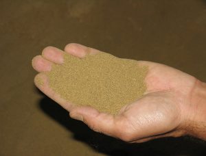 Shrimp feeds depend on proper ingredient grinding