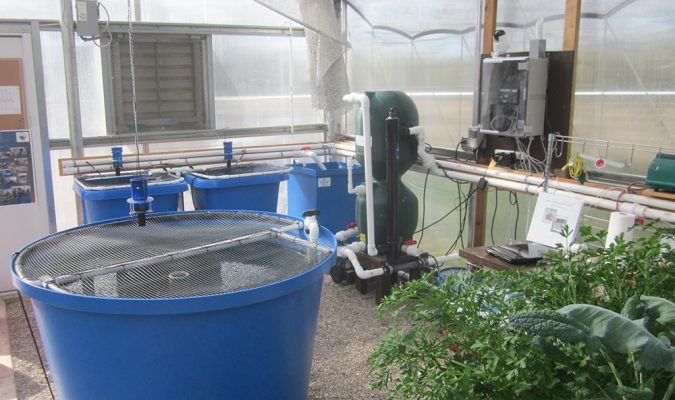 aquaponics