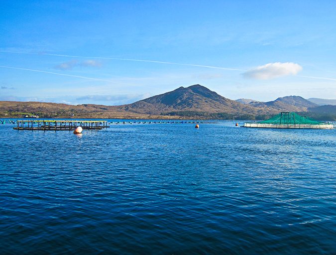 A fish pen in the Bay of Kilmackilogue, Ireland. Salmon farmers need marine waters of a certain temperature to optimize fish health and harvests. Satellite data provided by the European Space Agency is being made available to the aquaculture sector. Photo courtesy of Daithi O’Murchu Marine Research Station (DOMMRS).