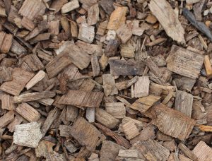 Woodchip bioreactors effectively treat aquaculture effluent