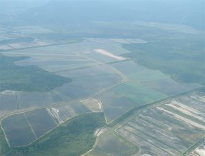 Reviewing the ‘near-magical’ properties of water