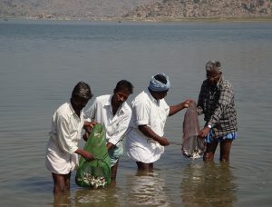 India’s reservoirs show significant potential for aquaculture