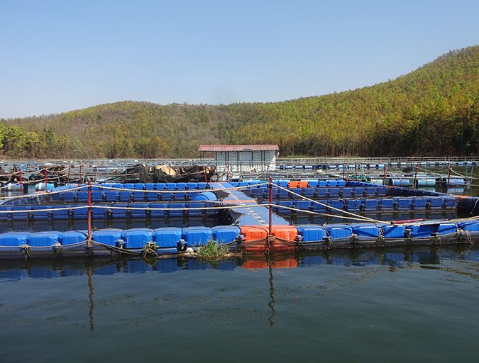 fish cages