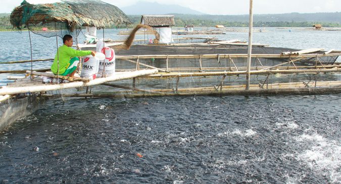 Sustainable Fisheries Partnership