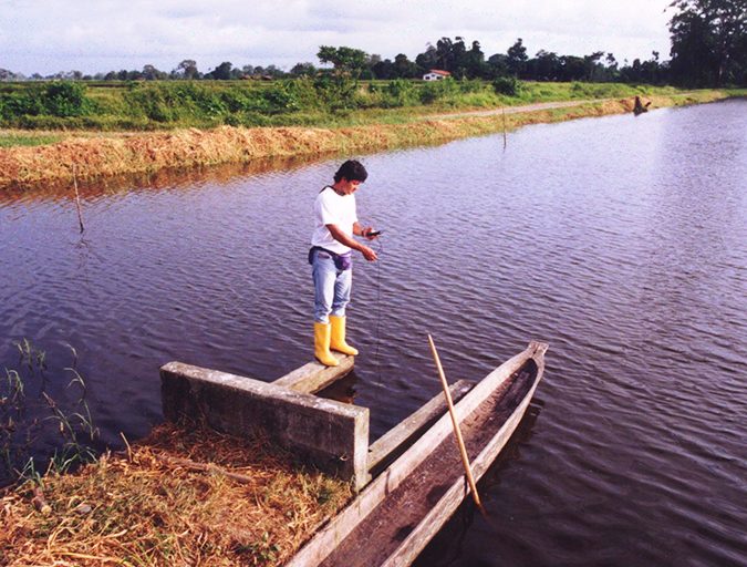 water quality
