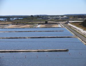 The oft-overlooked water quality parameter: pH