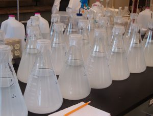 Testing agricultural limestone in aquaculture ponds