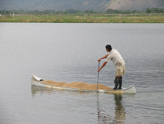 hydrostability