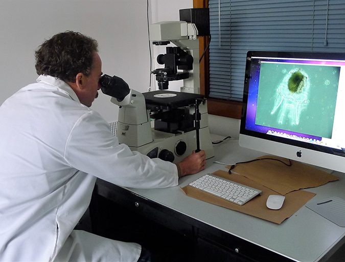 microscopy