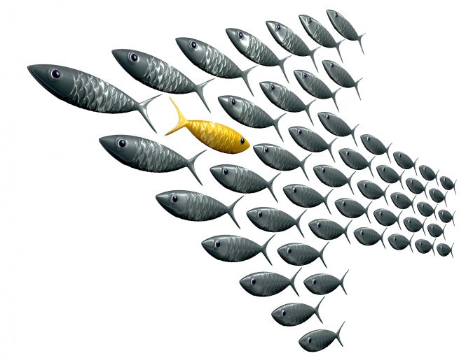 GM foods fish arrow